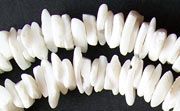 Shell Beads, Litob Square Cut 8mm, Natural White