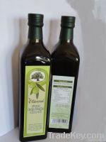 Lebanese olive oil