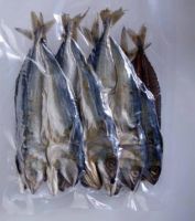 FISH AND SEAFOOD PRODUCTS