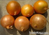 yellow onion;peeled onion;red onion