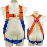 CE Standard Safety Harness