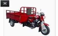 250cc tricycle motorcycle