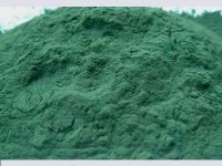 We Need Buyers for our Spirulina powder