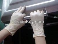 Cleanroom Working Latex Glove/Hand Gloves