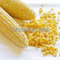 Yellow Corn