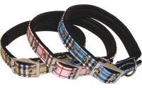 Pets collar and leash-4