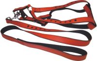 Pets collar and leash-8