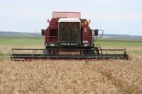 grain harvester KZS-1218 "PALESSE GS12"