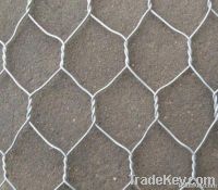 Chicken wire mesh