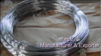 electro galvanized iron(steel) wire (manufacturer)
