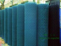 Galvanized/PVC coated hexagonal wire mesh (chicken wire mesh) Manufact