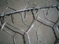 Galvanized/PVC coated hexagonal wire mesh (chicken wire mesh) Manufact