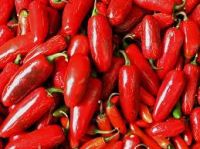 Red Chilli