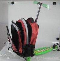 skateboard luggage