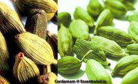 Cardamom Spices