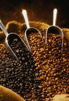 Export Coffee Beans | Coffee Bean Importer | Coffee Beans Buyer | Buy Coffee Beans | Coffee Bean Wholesaler | Coffee Bean Manufacturer | Best Coffee Bean Exporter | Low Price Coffee Beans | Best Quality Coffee Bean | Coffee Bean Supplier | Sell Coffee Bea