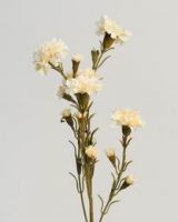 Slik  Carnations