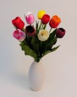 Big and Small Tulips