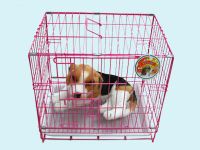 Dog cage