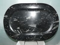 dish of fossilised marble