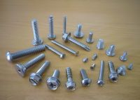 stainless screw manufacturer, tapping screw, taptite screw, machine scrw