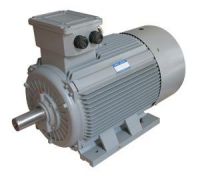 EG Series Three-phase Industrial Standard Motors