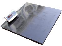 Stainless steel Floor Scale