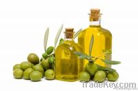 Extra Virgin Olive Oil,olives oil suppliers,olives oil exporters,olives oil manufacturers,extra virgin olives oil traders,spanish olive oil,