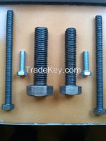 Hex Bolts