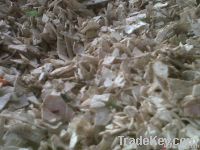 PP flakes, HDPE flakes