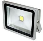 LED Flood Light