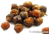 Certified Organic Soapnut Shells