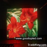 P6 Indoor SMD RGB LED Display