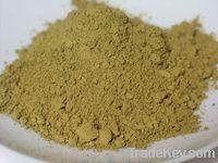 https://es.tradekey.com/product_view/Cassia-Tora-Gum-Powder-2030785.html