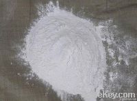 Gypsum Powder (Plater Of Paris | Chalk)