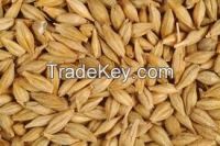 Feed barley. Yellow  corn, Soy beans, Soybean meal, Feed wheat