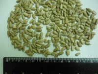 Hulled sunflower kernels
