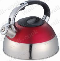 Stainless Steel  Tea Kettle