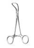 Dental Forceps (Dental Instrument)