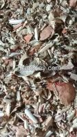 crab shells dried