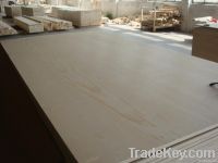 High Quality Commercial Plywood For Construction