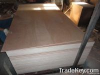 High Quality 3.6MM Plywood