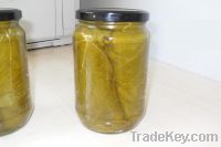 720 cc Glass Jar Vine Leaves