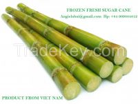 FRESH SUGAR CANE STICK