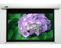 High Quality Motorized  Projection Screen with Remote