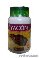 Yacon Capsules