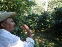 Export Coffee Beans | Coffee Bean Importer | Coffee Beans Buyer | Buy Coffee Beans | Coffee Bean Wholesaler | Coffee Bean Manufacturer | Best Coffee Bean Exporter | Low Price Coffee Beans | Best Quality Coffee Bean | Coffee Bean Supplier | Sell Coffee Be