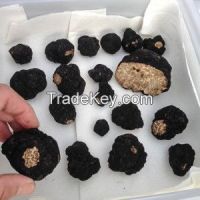 OREGON BLACK TRUFFLES