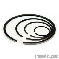 Piston Rings