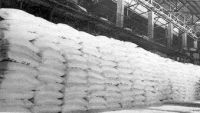 Urea 46 Prilled & Granular Urea Dealers, Urea Fertilizers, Urea Wholesalers, Urea Fertilizer Exporters